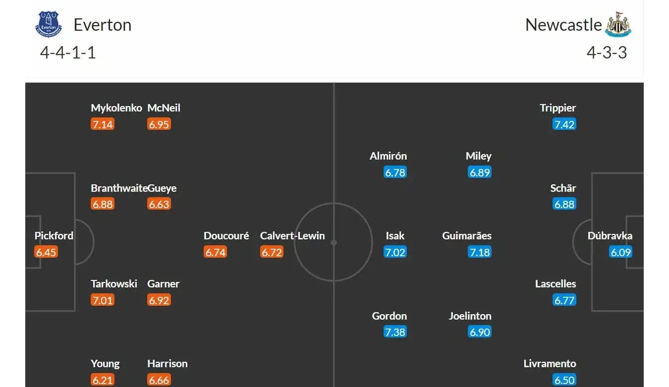 Everton - Newcastle