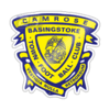 Logo týmu Basingstoke Town