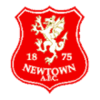 Logo týmu Newtown AFC