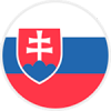 Logo týmu Slovensko 21