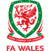 Logo týmu Wales