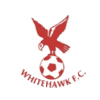 Logo týmu Whitehawk