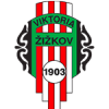 Logo týmu Žižkov Viktoria