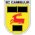 Logo týmu Cambuur Leeuwarden