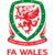 Logo týmu Wales