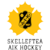 Logo týmu Skelleftea AIK